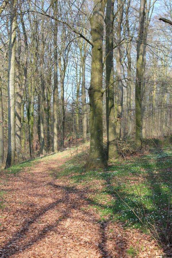 Louiselund Bed & Breakfast Haderslev Luaran gambar